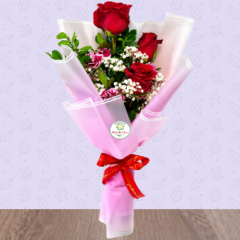 Unico Romance 